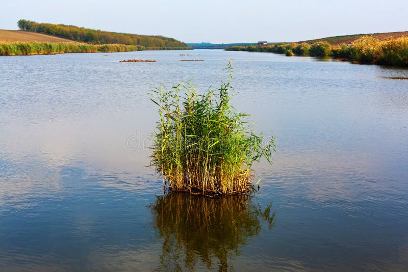 Frischwassersee und Vegetation