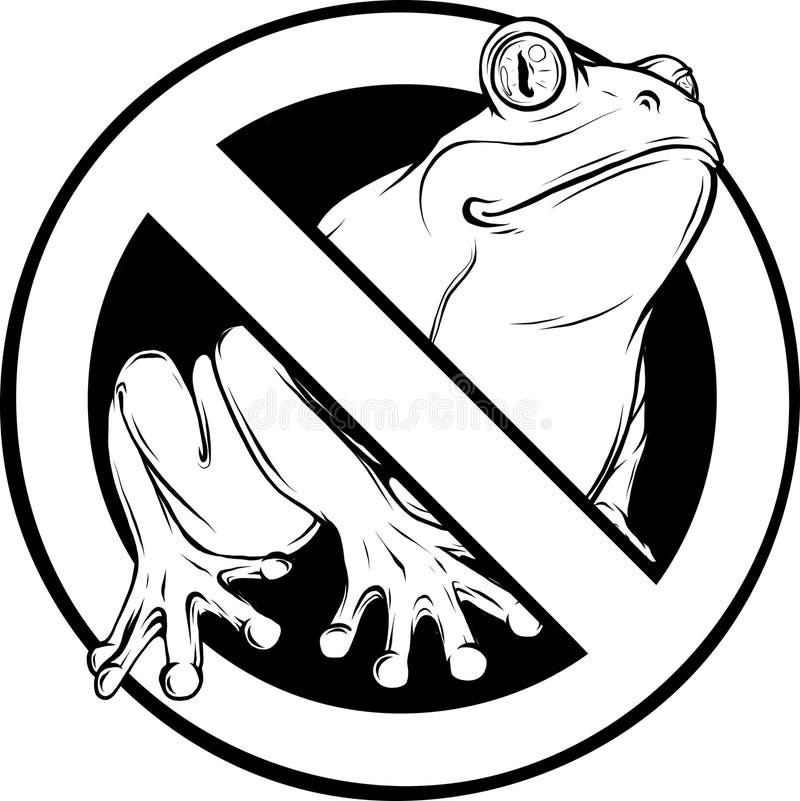 Vector Frog in Black and White Outline Stock Vector - Illustration of