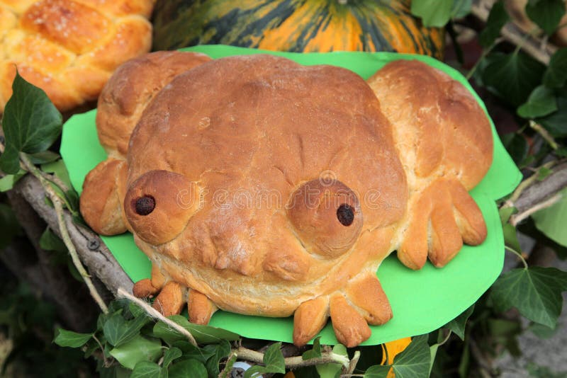 Frog Bread Royalty Free Stock Photography Image 16651107