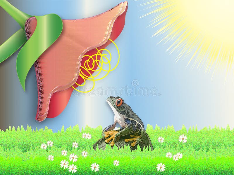 Frog and Flower stock illustration. Illustration of field - 3086238
