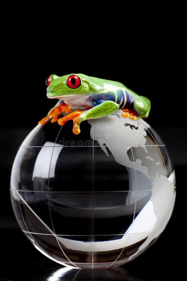 Frog on globe