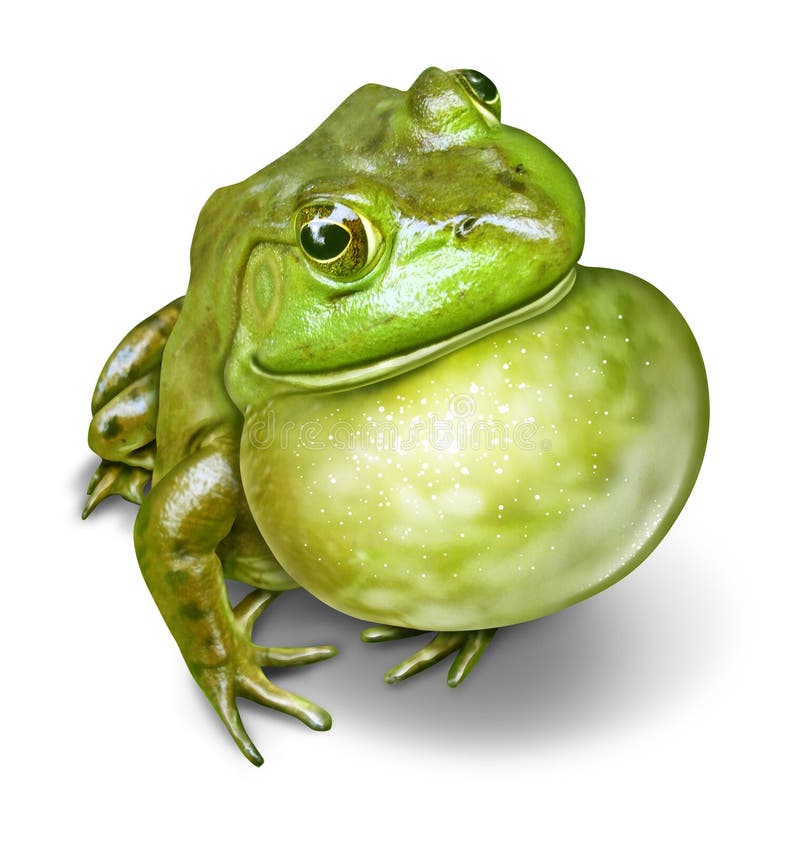 frog-inflated-throat-29323327.jpg