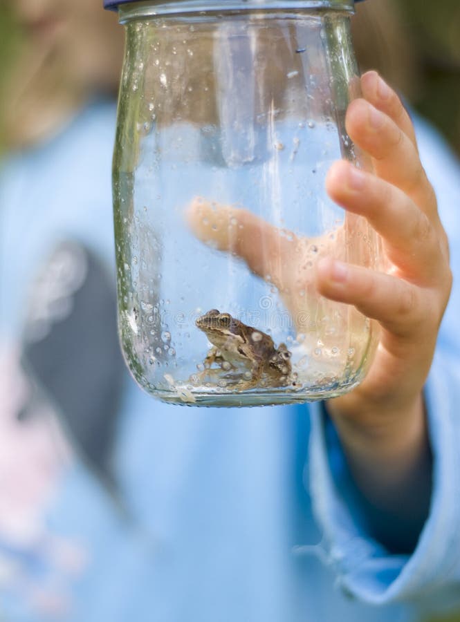 Girl Looking At Frog In Jar Closeup High-Res Stock Photo - Getty