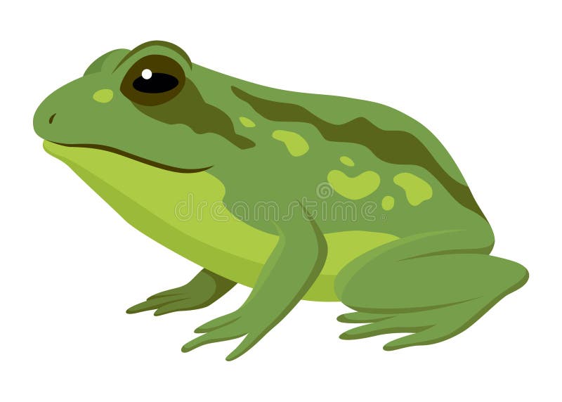 Page 39  Cute green frog Vectors & Illustrations for Free