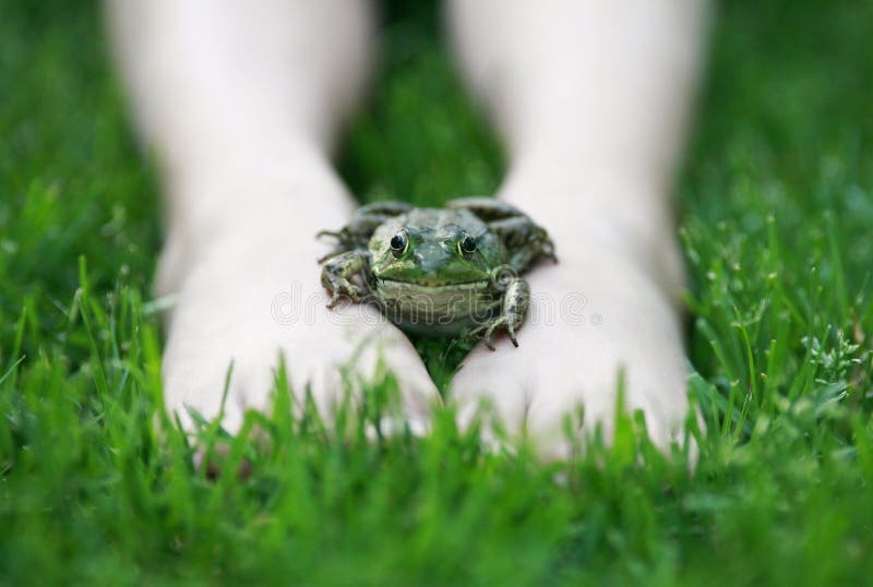 Frog on my feet.