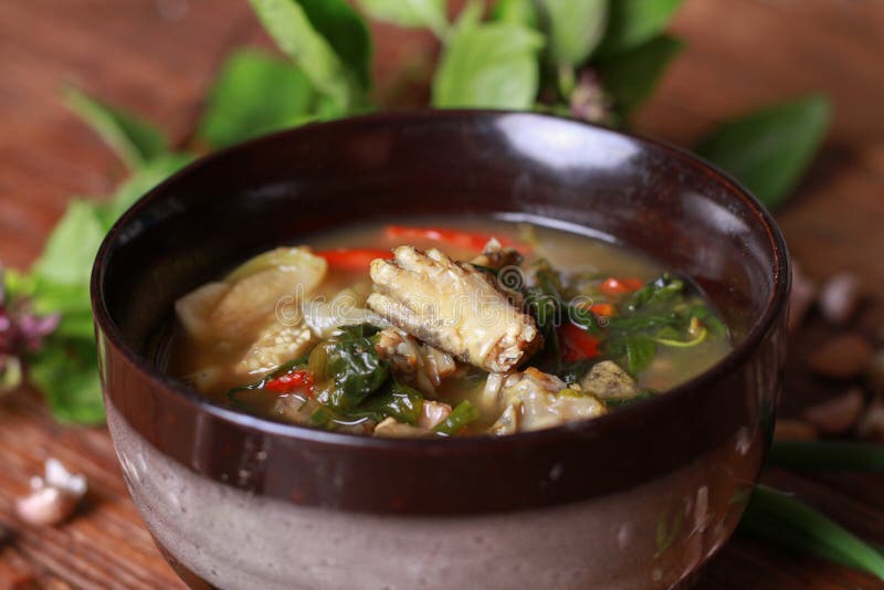 frog-spicy-soup-northeast-thai-style-aom-kob-frog-spicy-soup-northeast-thai-style-aom-kob-x-101073071.jpg