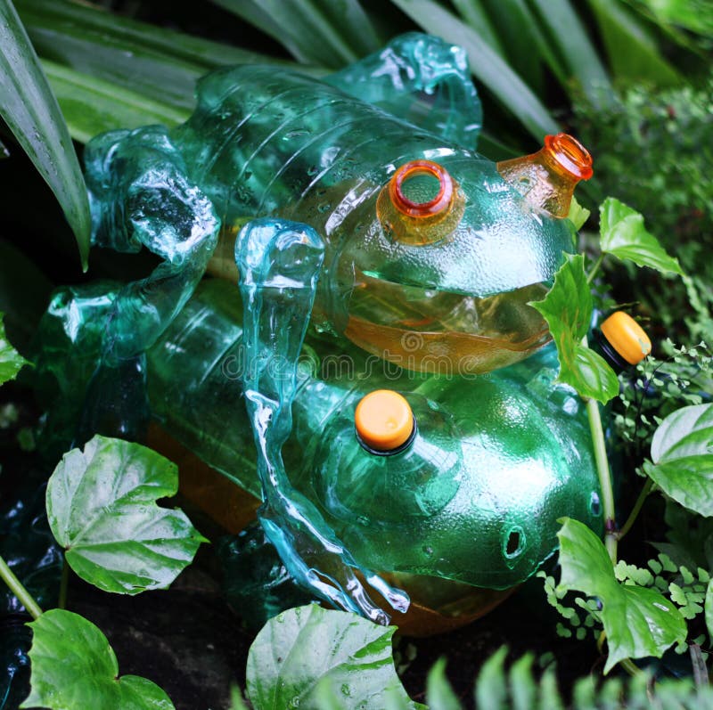 Frogs Plastic sculptures Pet Art