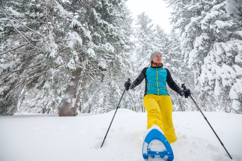 Frohe Frau läuft auf Schneeschuhen durch den Koniferenwald lizenzfreie stockfotos Frohe Frau läuft auf Schneeschuhen durch den Koniferenwald lizenzfreie stockfotos