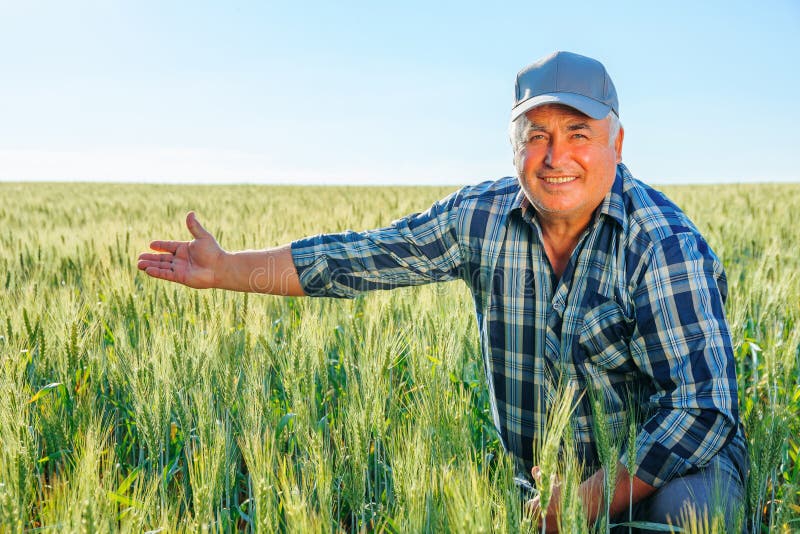 Frohe ältere männliche Arbeiterin in der Kappe, die Kamera anschaut und wegzeigt während sie im Feld sitzt. Fröhlicher älterer männlicher Arbeitnehmer in der Kappe, der Kamera anschaut und wegzeigt, während er im Feld mit grünen Pflanzen auf dem Land sitzt. lächelnder Landwirt, der auf dem Feld wegzeigt