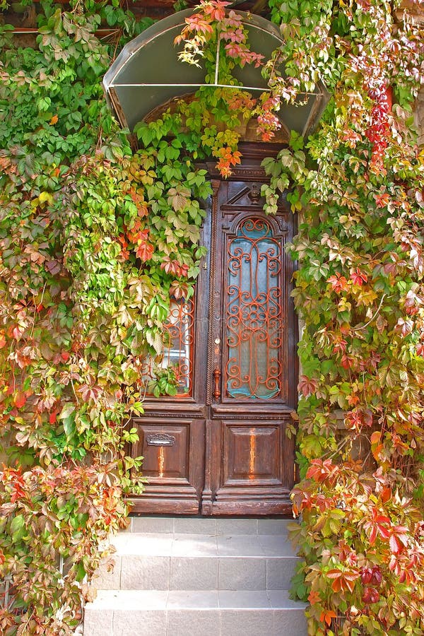 Front door in the old house