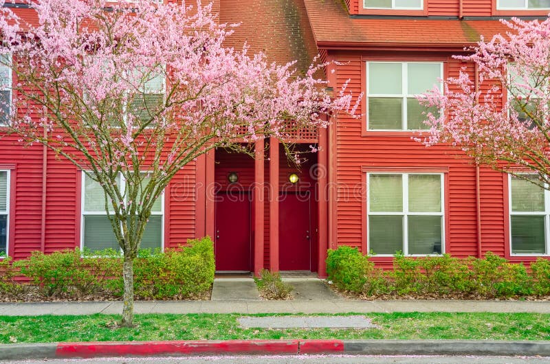 Front entrance of red townhouse with pink cherry blossom in Seattle, Washington, USA