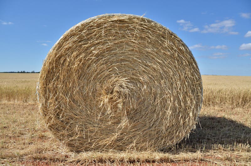 Front straw bale