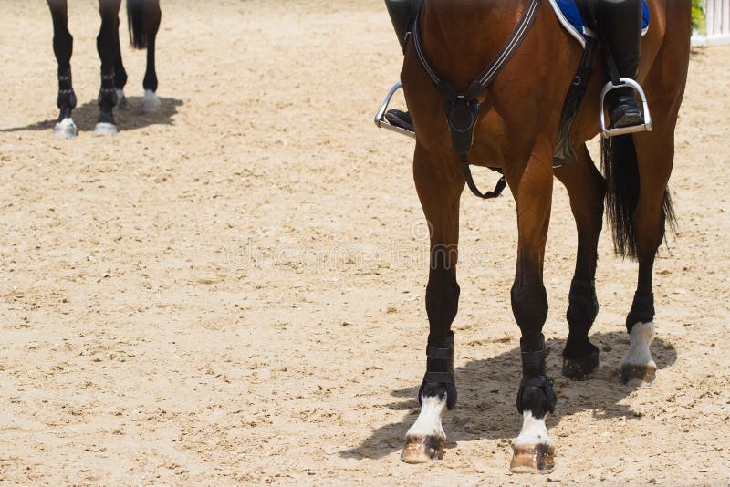 Front view closeup of brown race horse hoof on brown training ground and jockey astride on top. Front view closeup of brown race horse hoof on brown training ground and jockey astride on top