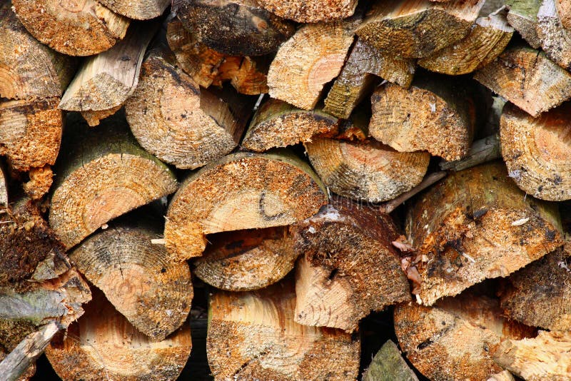 Fresh Cut Firewood in a Stack Stock Image Image of firewood, nature 178502613