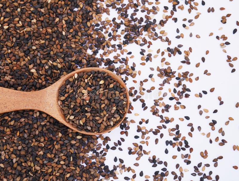 Front view of a wooden scoop filled with Organic Black Sesame (Sesamum indicum) Seeds. Isolated on a white background. royalty free illustration