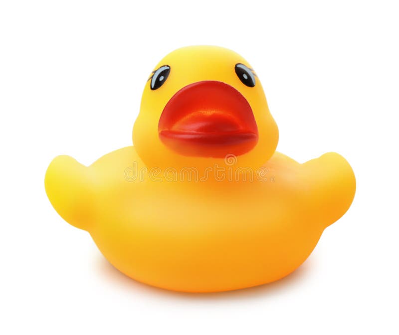 Top View of Yellow Rubber Bath Duck Stock Photo - Image of bath, animal