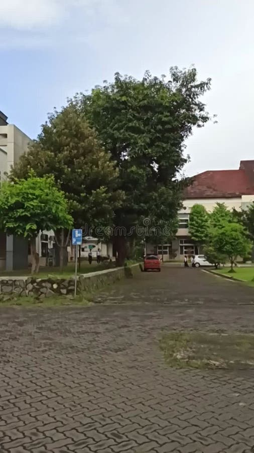 The front yard of the elementary school teacher education stock video