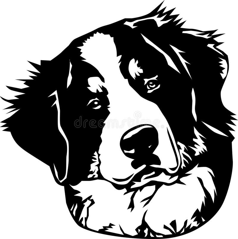 Fronte del cane di montagna di Bernese royalty illustrazione gratis Fronte del cane di montagna di Bernese royalty illustrazione gratis