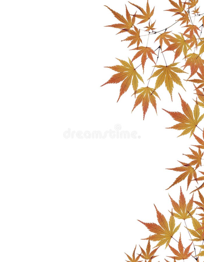 Colorful border composed of multiple autumn leaves. Colorful border composed of multiple autumn leaves.