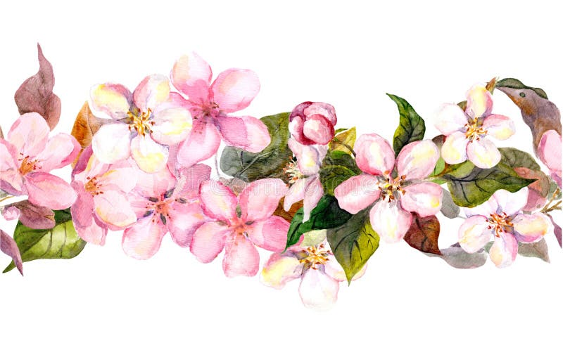 Frontera floral repetida inconsútil - cereza rosada Sakura y flores de la manzana watercolor stock de ilustración Frontera floral repetida inconsútil - cereza rosada Sakura y flores de la manzana watercolor stock de ilustración