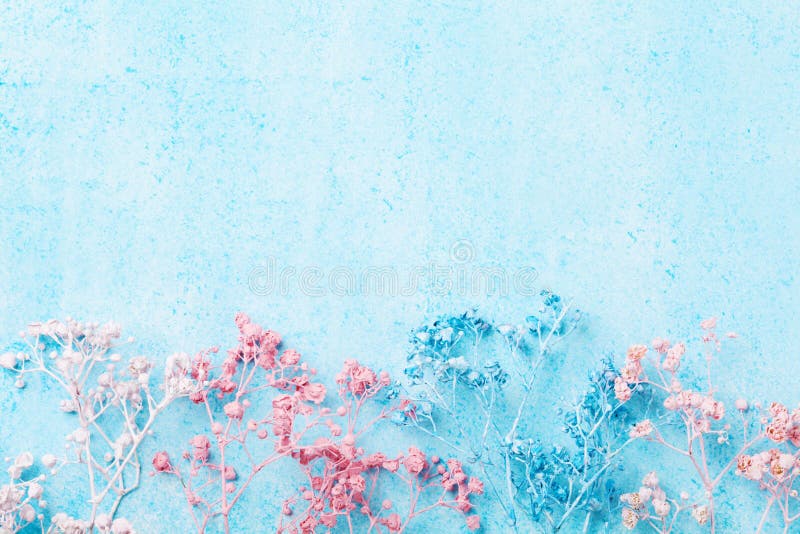 Frontière de fleur de mariage sur la vue supérieure de fond en pastel bleu Belle configuration florale style plat de configuratio photo libre de droits
