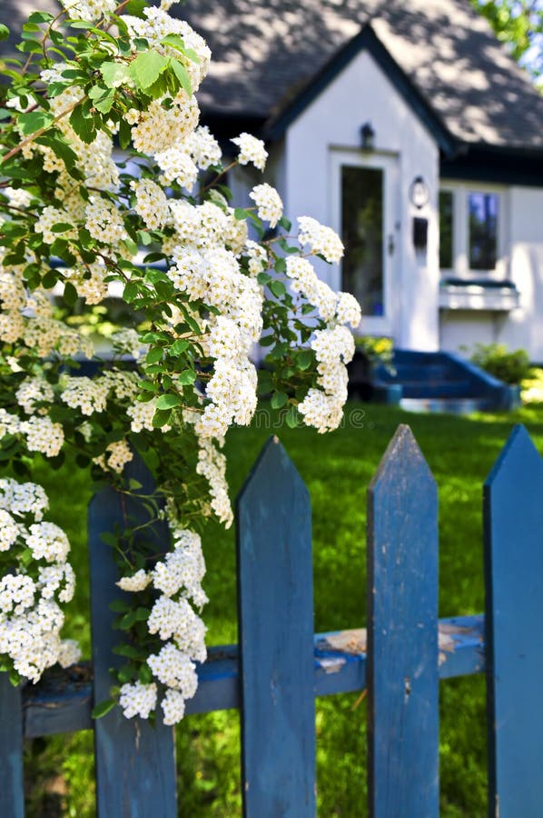 Frontière de sécurité bleue avec les fleurs blanches photographie stock Frontière de sécurité bleue avec les fleurs blanches photographie stock