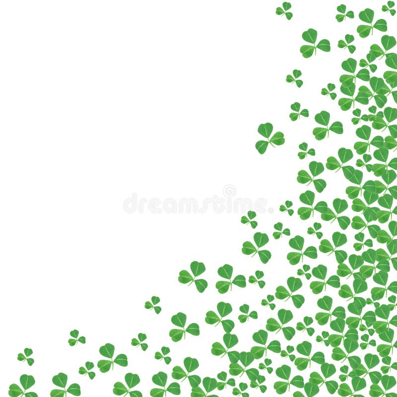 Frontière faisante le coin carrée de jour de St Patricks des oxalidex petite oseille au-dessus du blanc illustration stock Frontière faisante le coin carrée de jour de St Patricks des oxalidex petite oseille au-dessus du blanc illustration stock