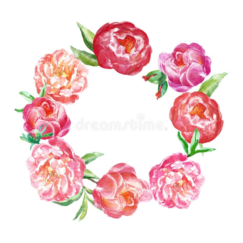 Frontière florale de ressort d'aquarelle avec le rose et les pivoines de corail Les fleurs peintes à la main tressent l'illustrat illustration stock Frontière florale de ressort d'aquarelle avec le rose et les pivoines de corail Les fleurs peintes à la main tressent l'illustrat illustration stock