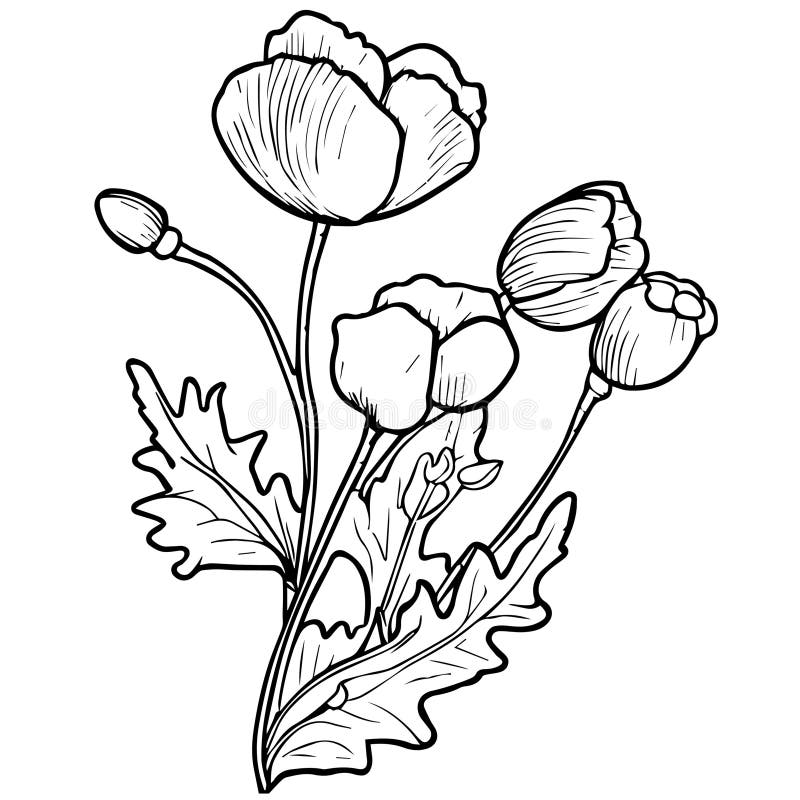 Cottage Garden Coloring Page Stock Illustrations – 255 Cottage Garden ...