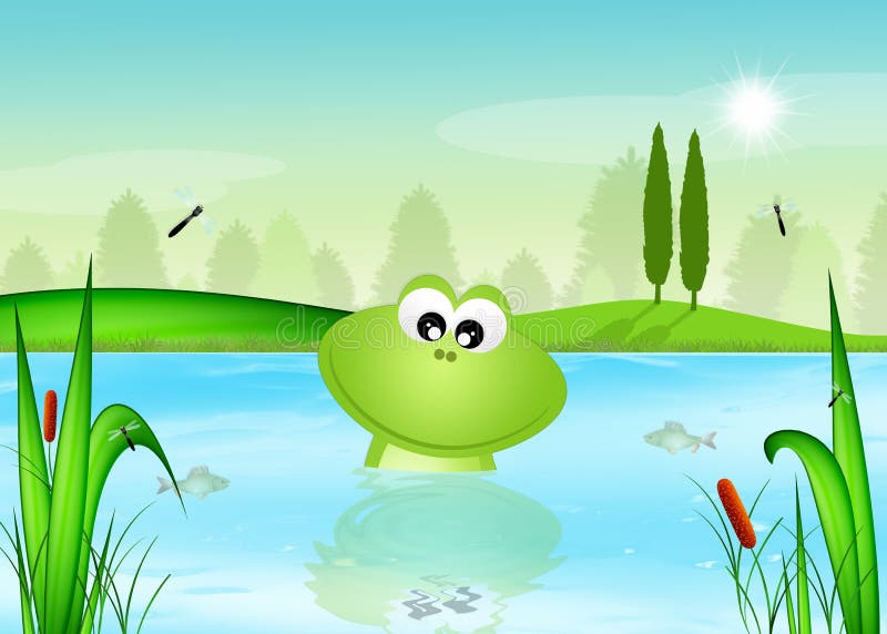 Frosch im Teich vektor abbildung. Illustration von frech 7470244