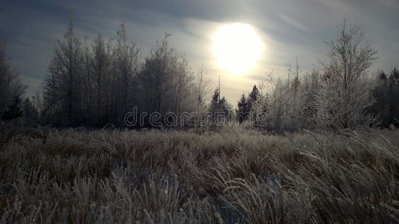 Frost -43 all frozen royalty free stock image Frost -43 all frozen royalty free stock image