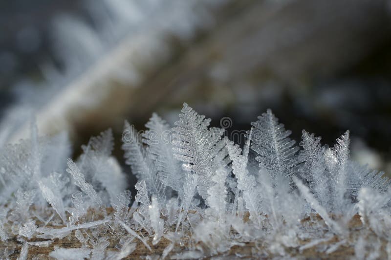 Frost close-up