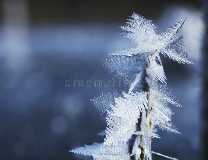 Frost close-up