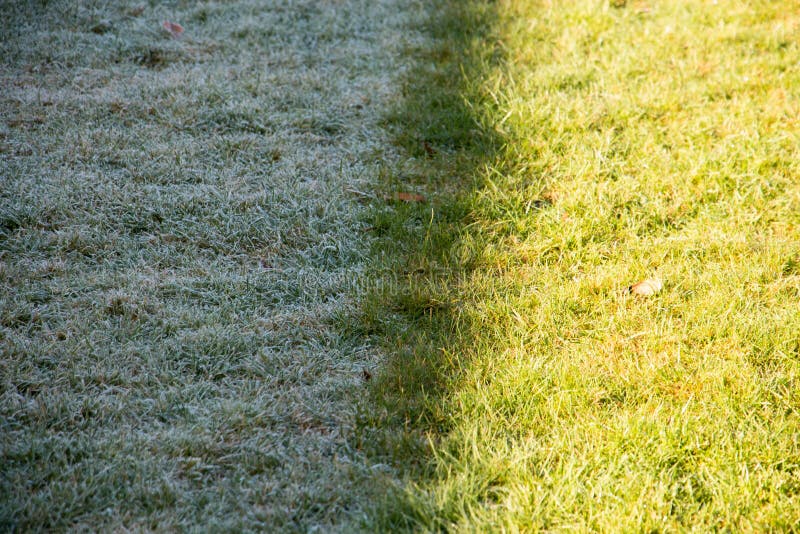 Frost on Grass Melting Instantly in the Sun Stock Image Image of