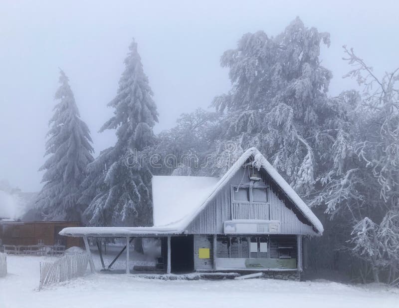 Frost chata v zimě v mlžném lese