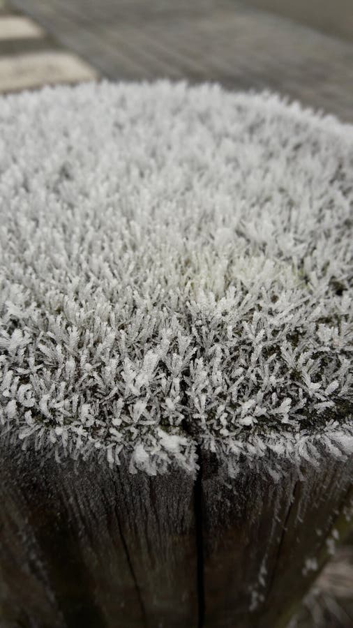 Frost on a pillar stock photo. Image of pillar, frost 83329722