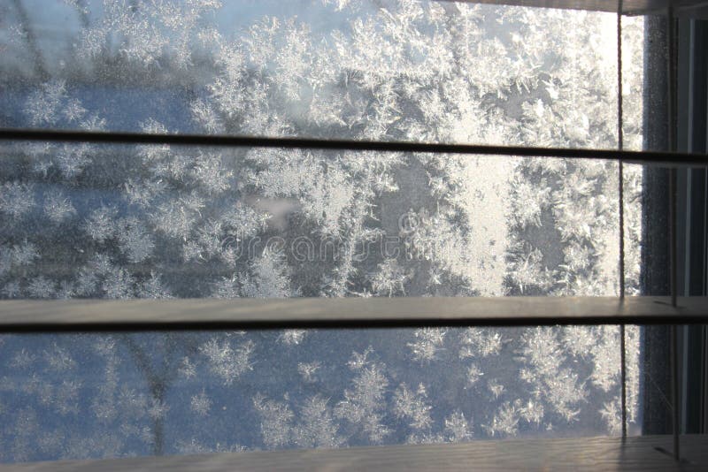 Frost Pattern on Winter Window