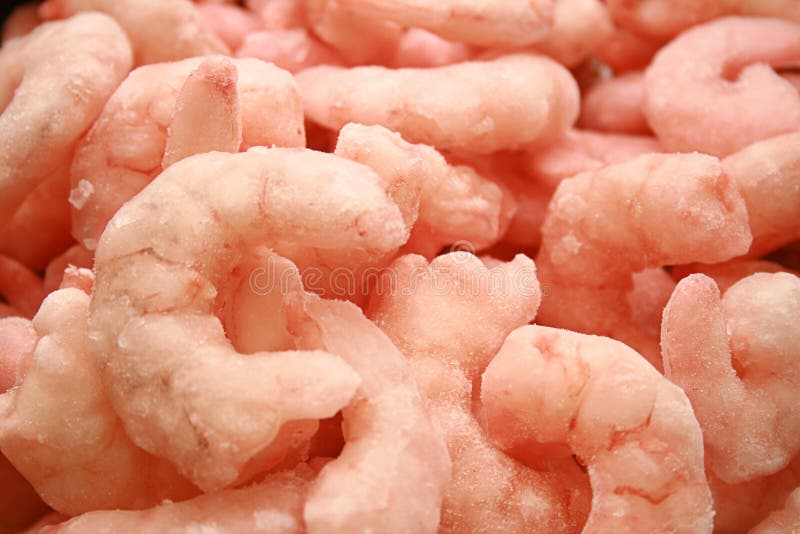 Frosted shrimp or prawn stock photo. Image of poon, culinary 1868628