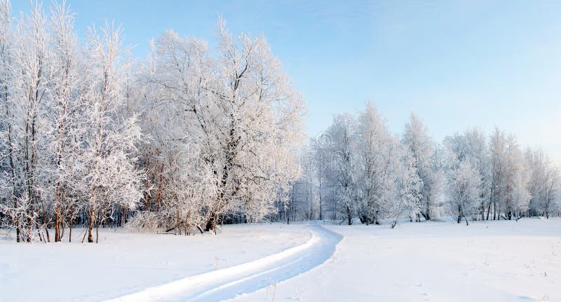 Snowy road stock image. Image of light, frosty, countryside - 7755763