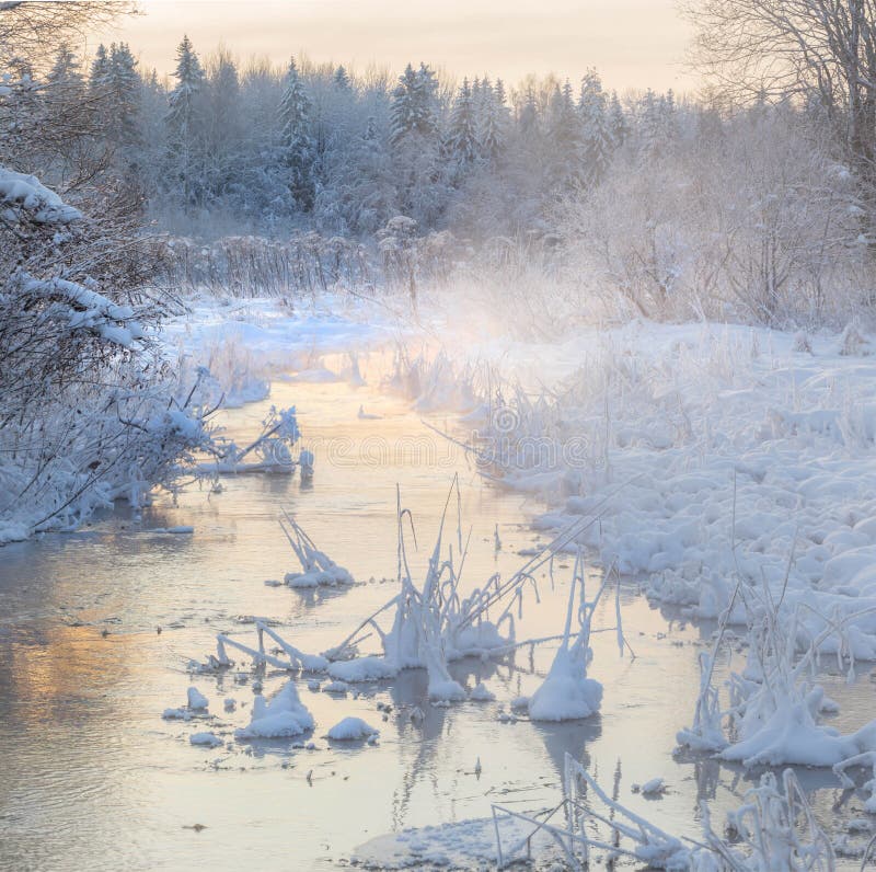 Frosty morning on a forest stream