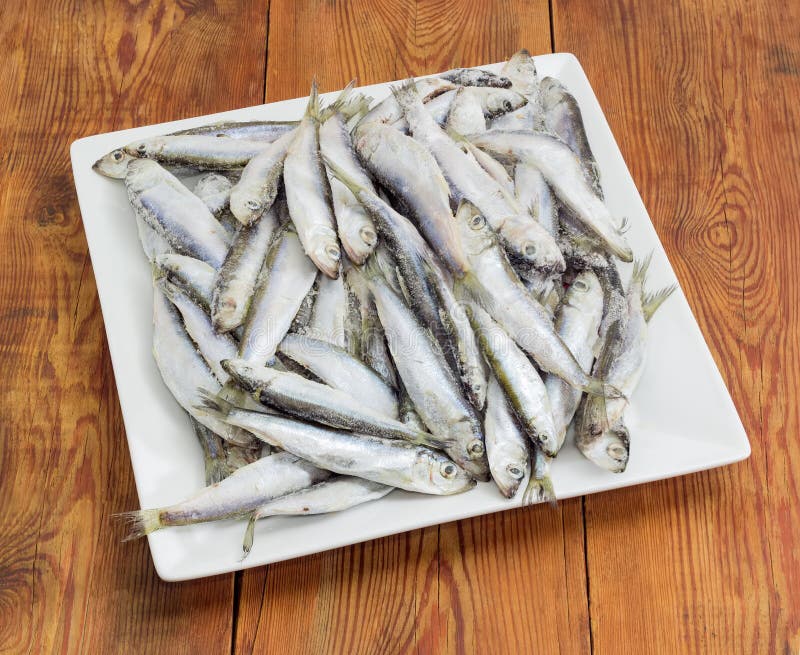 Frozen Baltic Herring on a Square White Dish Stock Photo Image of