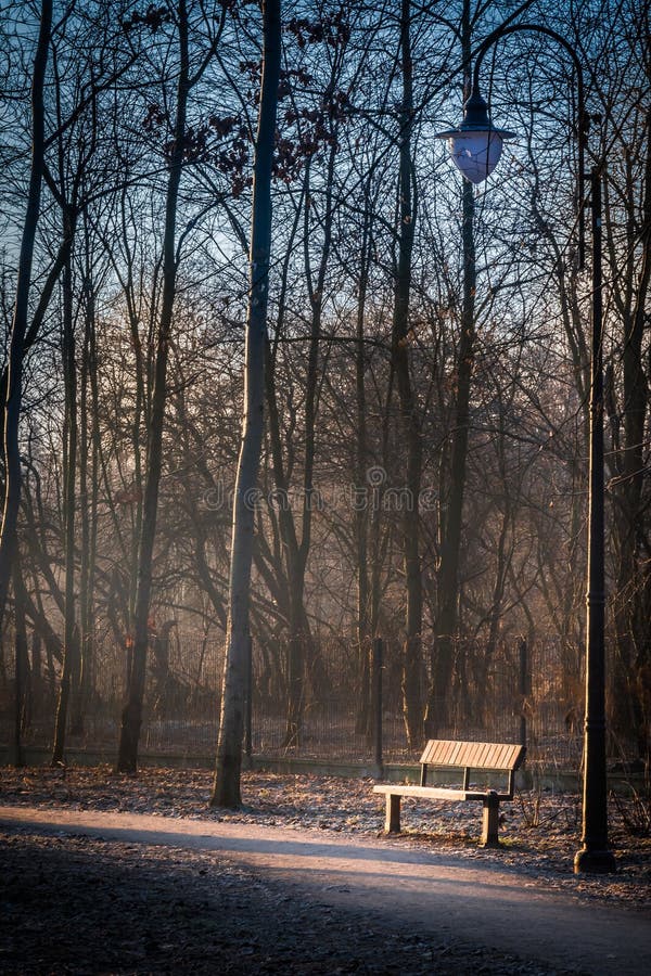 A frozen bench and park lamp next to a path lit by an orange sun royalty free stock photography A frozen bench and park lamp next to a path lit by an orange sun royalty free stock photography