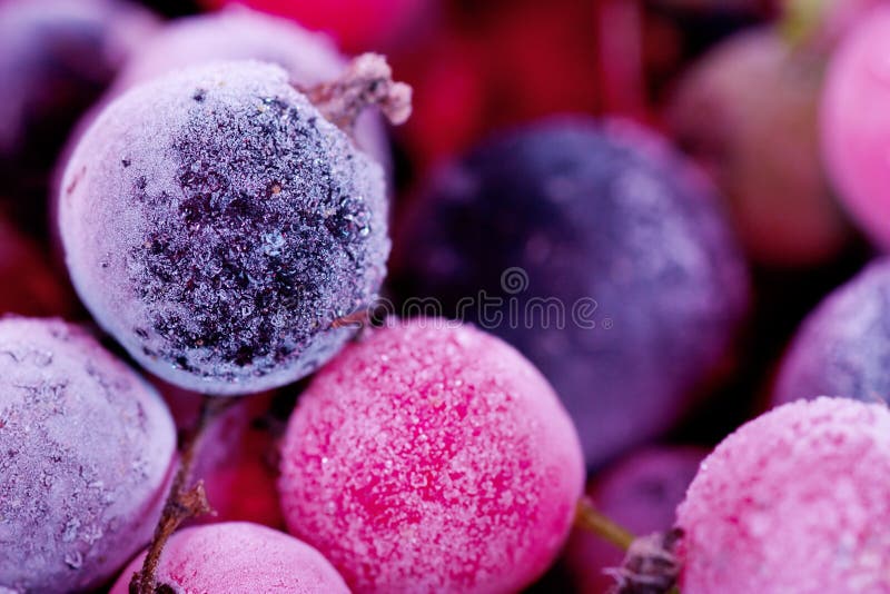 Frozen berries