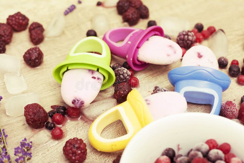 Frozen Berry Popsicles for Babies Stock Image Image of berry, family
