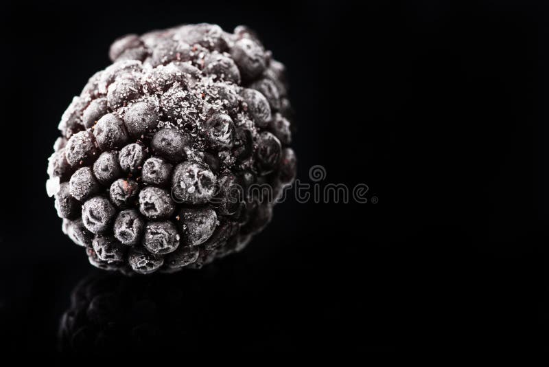 Frozen blackberry on black background