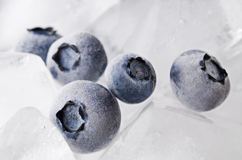 Frozen blueberries stock photo. Image of blueberries 23185576