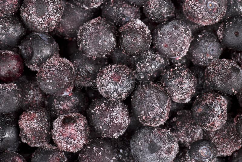 Frozen Blueberries stock photo. Image of heap, nobody - 8573448