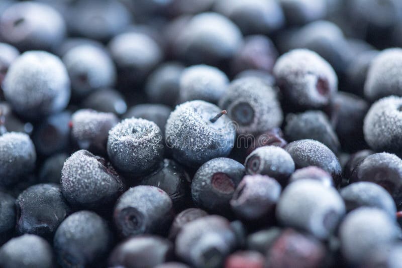 Frozen Blueberries Background Stock Image Image of blueberries