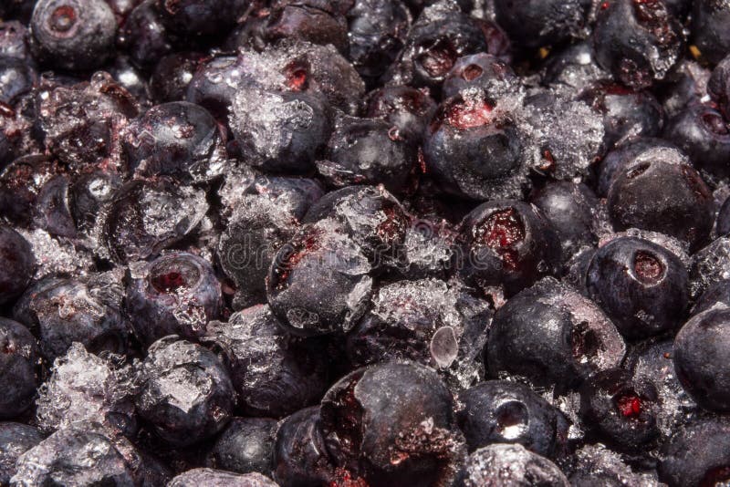 Frozen Blueberries Covered with Ice Crystals, Food Background Stock
