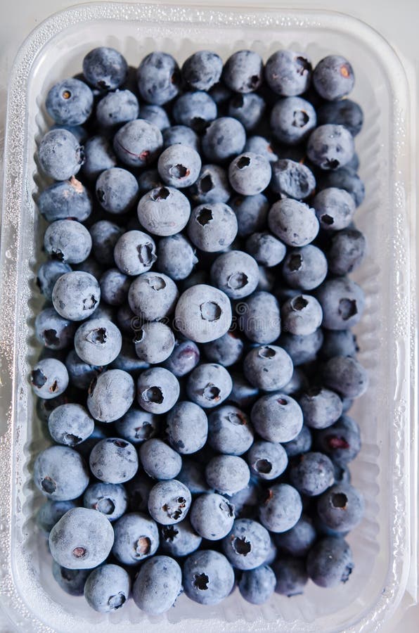 Frozen blueberries stock photo. Image of healthy, nutrition 58864318